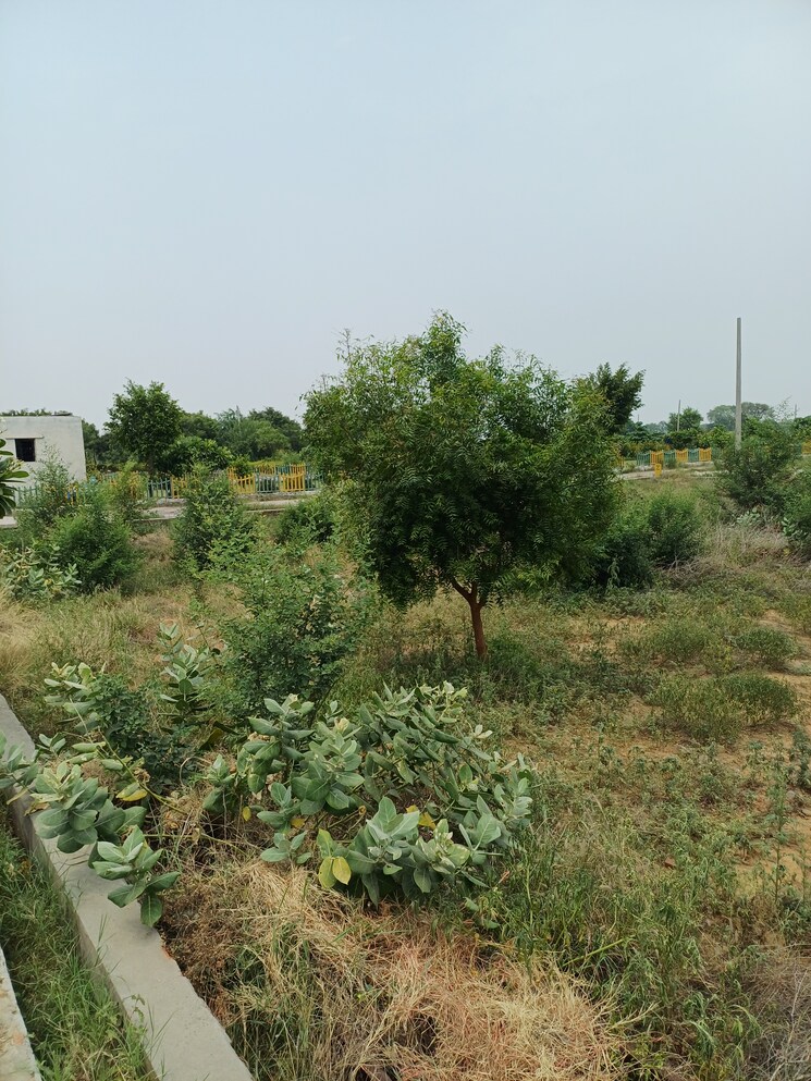 Garden, jewar  406 Sq.Yd. Plot In Jewar Greater Noida 9105749