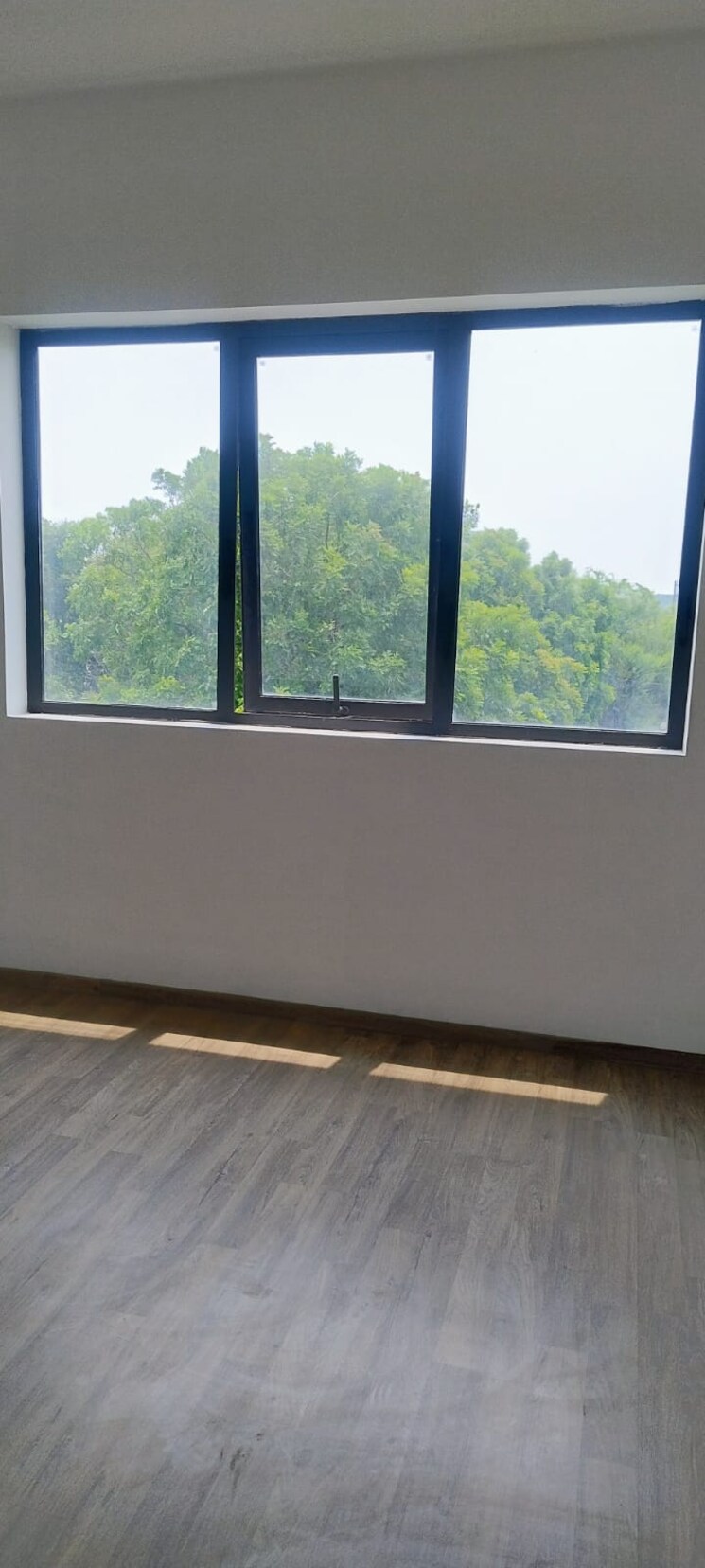 Swimming Pool, dlf-regency-park-i 2 Bedroom 1150 Sq.Ft. Apartment In Dlf Phase iv Gurgaon 9105841