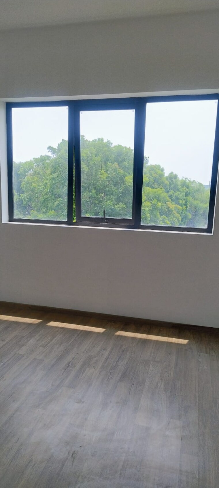 Swimming Pool, dlf-regency-park-i 2 Bedroom 1150 Sq.Ft. Apartment In Dlf Phase iv Gurgaon 9105841