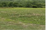 3999 Sq.Ft. Plot in Vijayanagar 4th Stage
