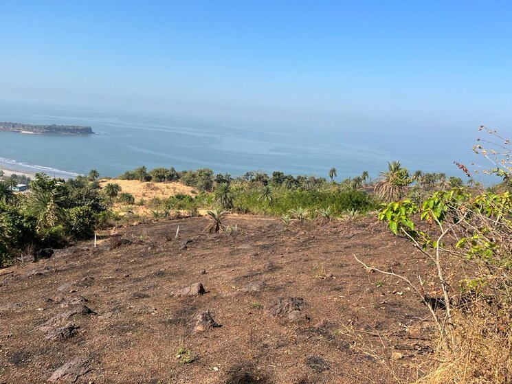 undefined, dapoli  1000 Sq.Mt. Plot In Dapoli Ratnagiri 9106118