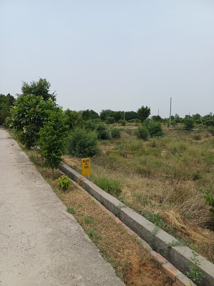 Exterior View, jewar  411 Sq.Yd. Plot In Jewar Greater Noida 9106185