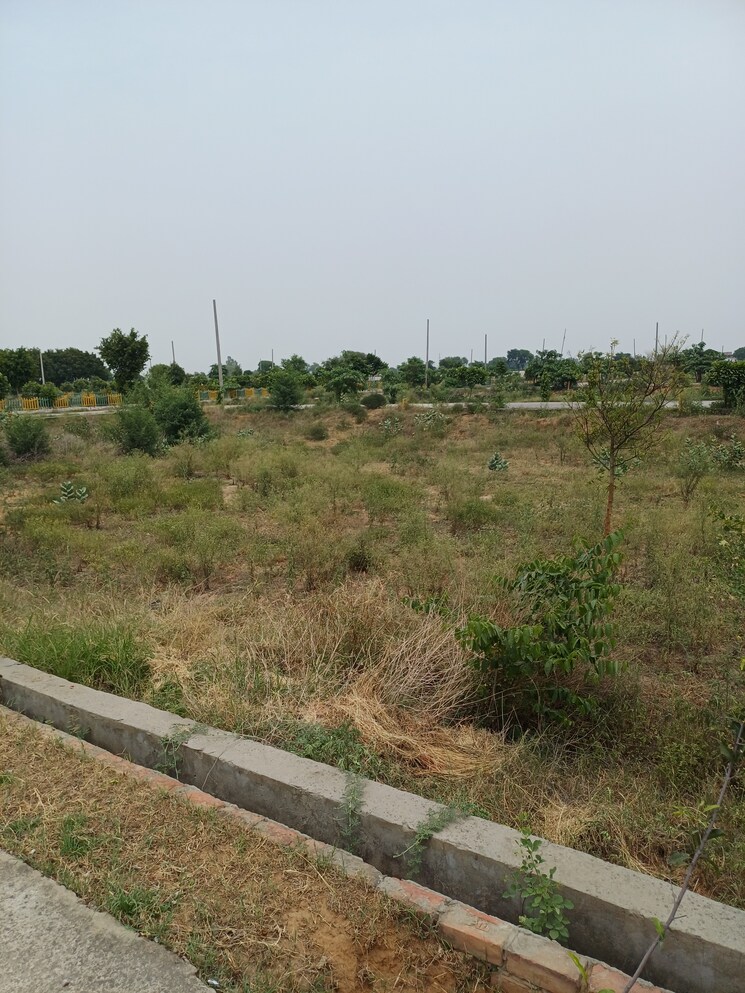 Exterior View, jewar  411 Sq.Yd. Plot In Jewar Greater Noida 9106185