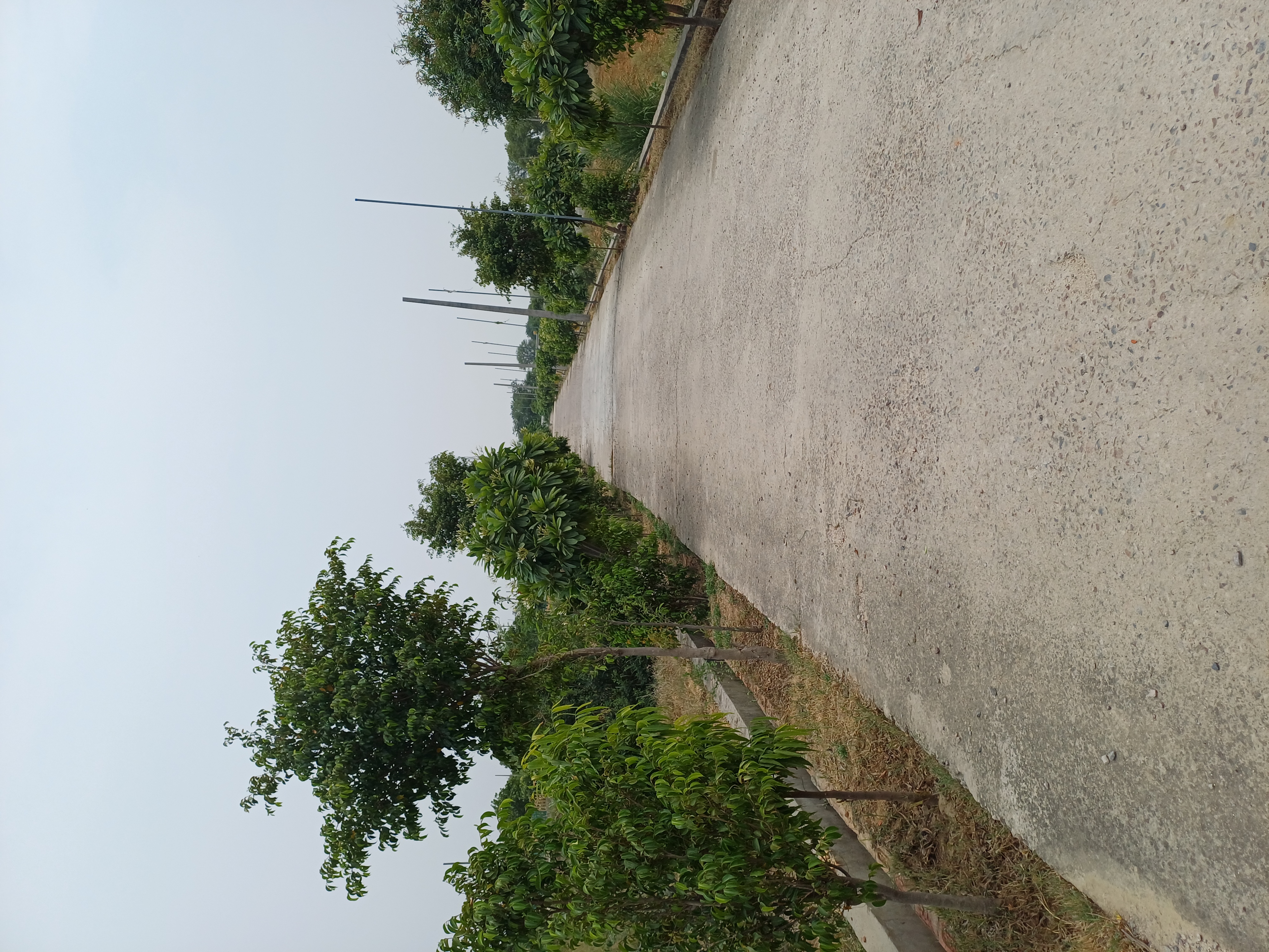 Plot For Sale in Jewar