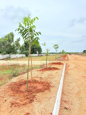 Plot Area in  Plot at ESR South Central, Subhanpur – for Sale