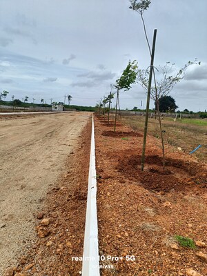 Plot Area in  Plot at ESR South Central, Subhanpur – for Sale