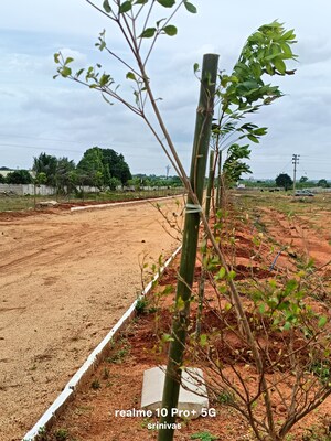 Plot Area in  Plot at ESR South Central, Subhanpur – for Sale