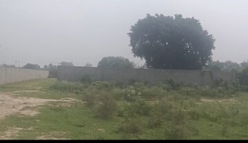 Plot Area in  Plot at Sector 77 – for Sale