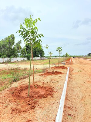  Plot – Exterior View View at ESR South Central, Subhanpur - for Sale