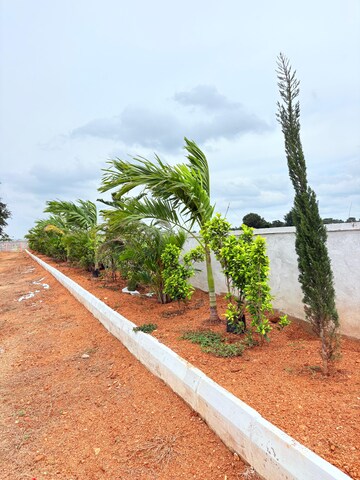  Plot – Exterior View View at ESR South Central, Subhanpur - for Sale