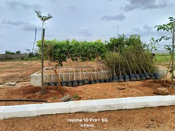  Plot – Exterior View View at ESR South Central, Subhanpur - for Sale