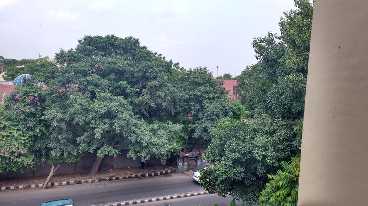 Garden, saket Studio 300 Sq.Ft. Apartment In Saket Delhi 9106371