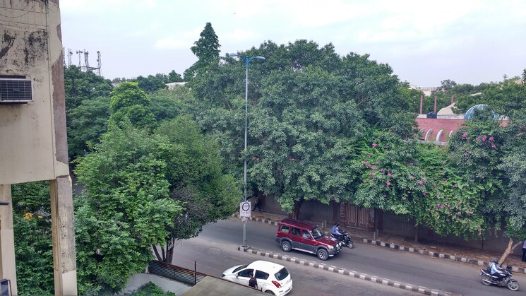 Garden, saket Studio 300 Sq.Ft. Apartment In Saket Delhi 9106371