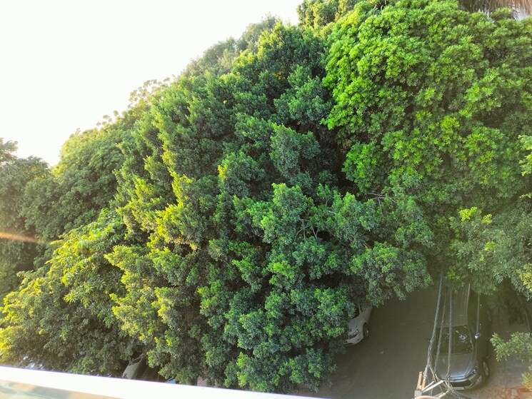 Garden, greater kailash i 4 Bedroom 4000 Sq.Ft. Penthouse In Greater Kailash I Delhi 9106506