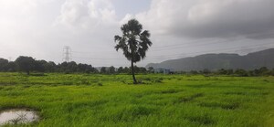  Plot For Sale in Godrej Greenview Estate, Ujjain Road