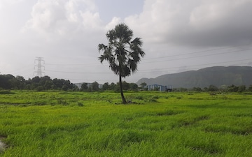 Plot For Sale in Godrej Greenview Estate, Ujjain Road