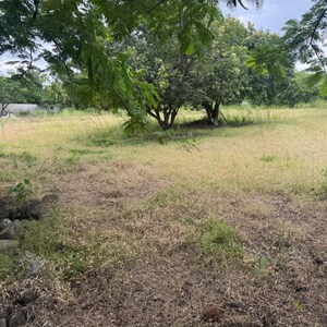 Plot Area in  Land at Mokila – for Sale