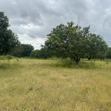  Land For Sale in Mokila
