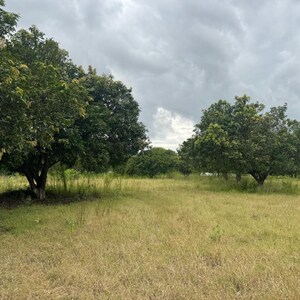 Plot Area in  Land at Mokila – for Sale