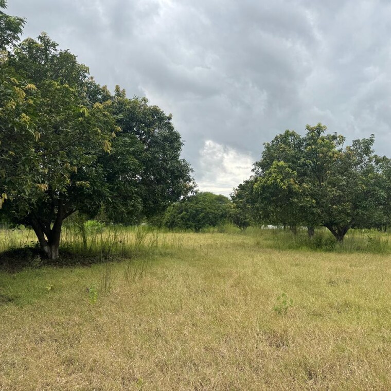 undefined, mokila Commercial Land 30 Acre In Mokila Hyderabad 9106630