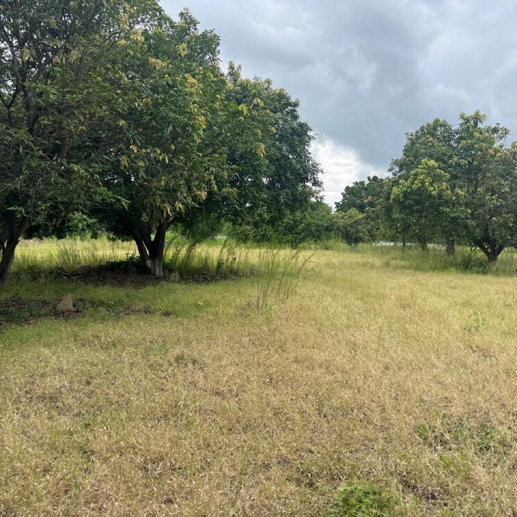 Garden, mokila Commercial Land 30 Acre In Mokila Hyderabad 9106630