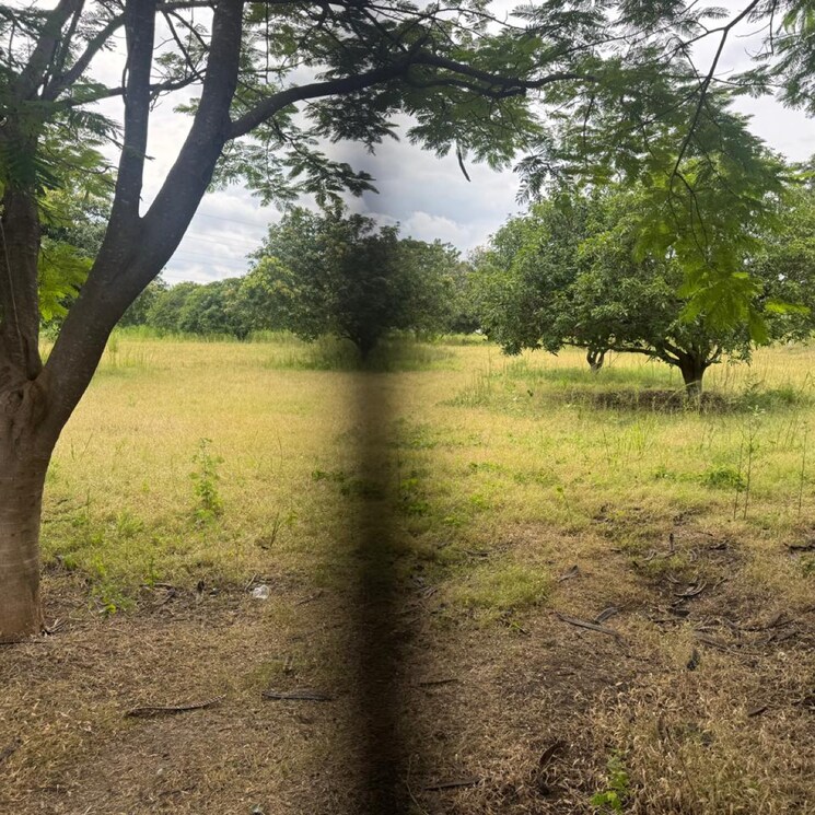 undefined, mokila Commercial Land 30 Acre In Mokila Hyderabad 9106630