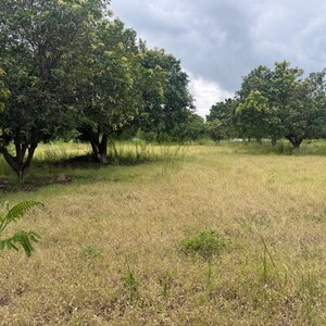  Land – Garden View at Mokila - for Sale