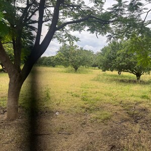 Plot Area in  Land at Mokila – for Sale