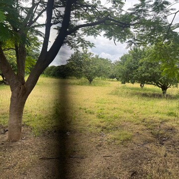 Plot Area in  Land at Mokila – for Sale