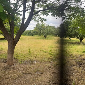 Plot Area in  Land at Mokila – for Sale