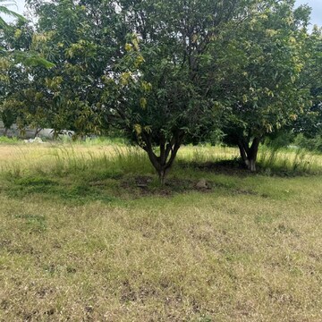 Plot Area in  Land at Mokila – for Sale