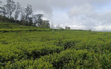 Plot For Sale in Ooty Road