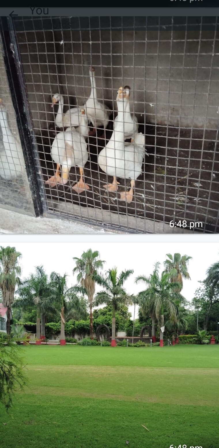 Exterior View, wave-city  192 Sq.Yd. Plot In Wave City Ghaziabad 9106836