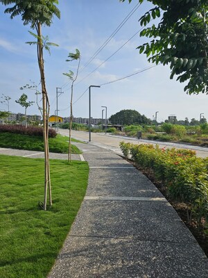  Plot – Garden View at Gandhi Nagar - for Sale