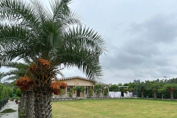  Land – Garden View at Sector 135 - for Sale