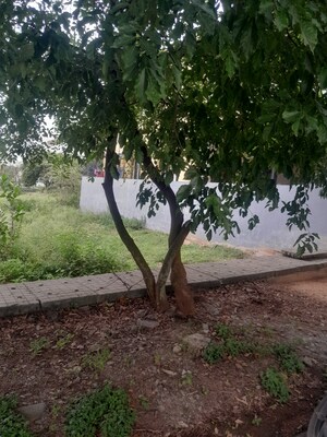  Plot For Sale in Vishweshwaraiah Layout