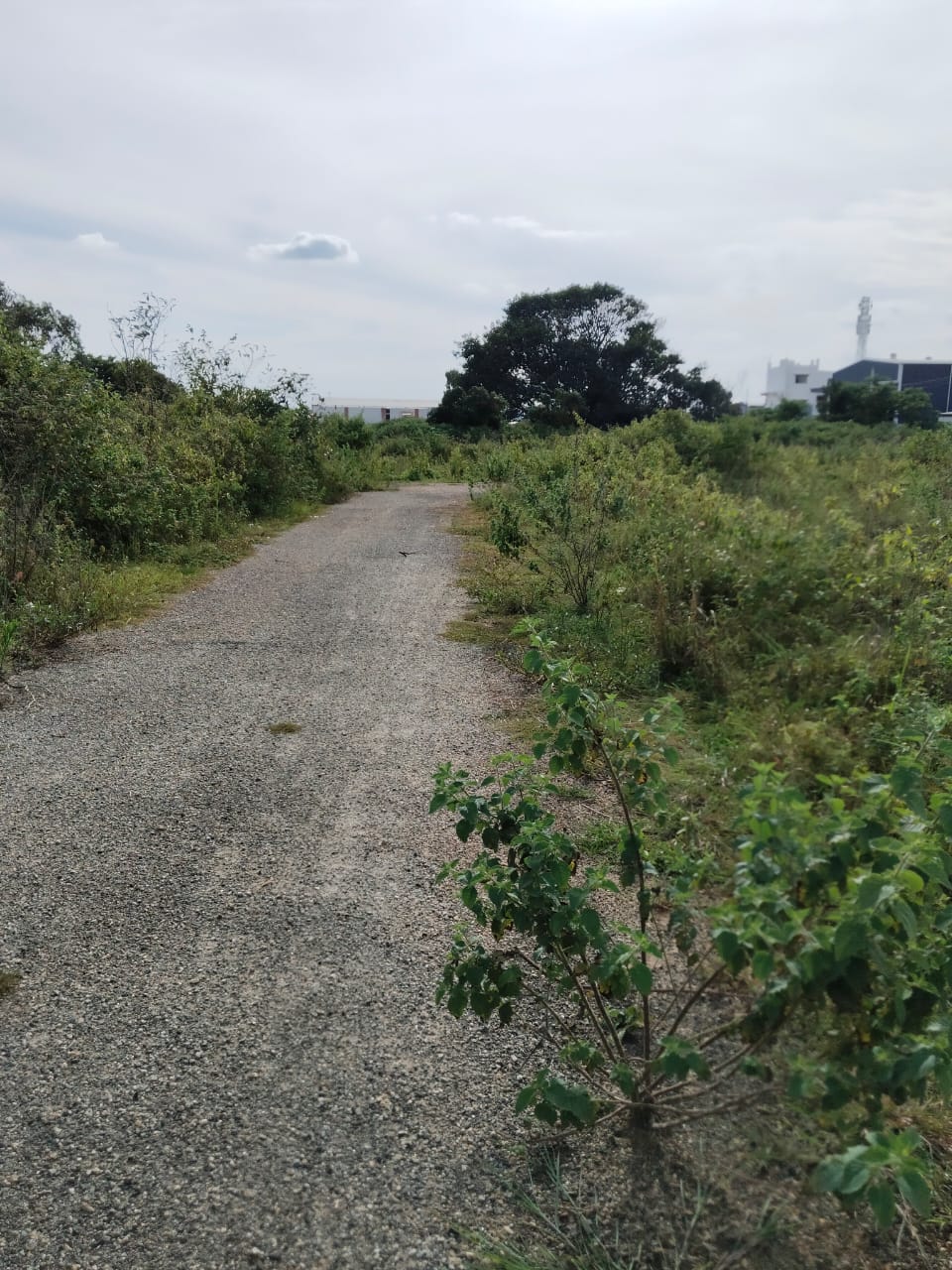 Plot For Sale in Nirman Nandanavana