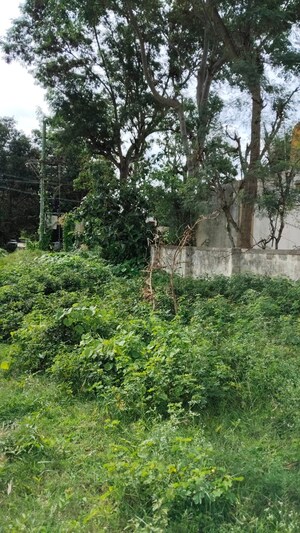 Plot Area in  Plot at Nirman Nandanavana, Jigani – for Sale