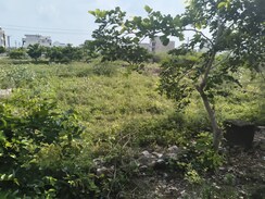 Plot For Sale in Jagatpura