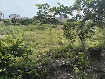  Plot For Sale in Jagatpura