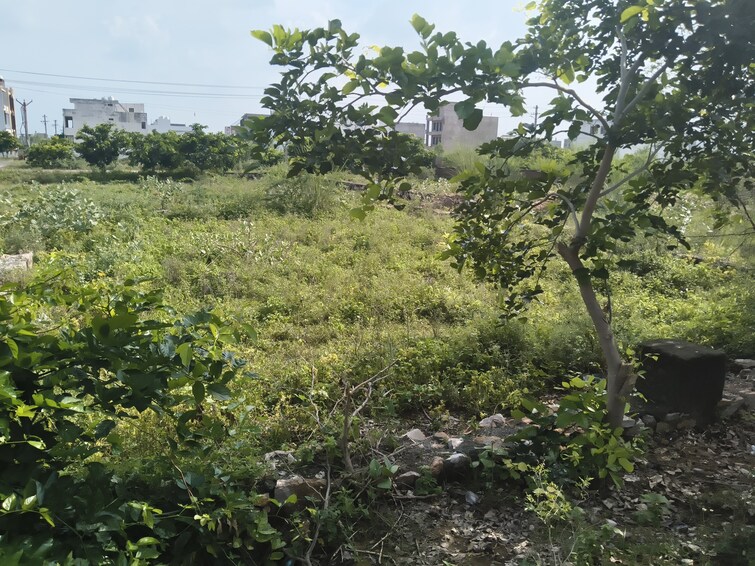 Cover Image, jagatpura  270 Sq.Yd. Plot In Jagatpura Jaipur 9107601