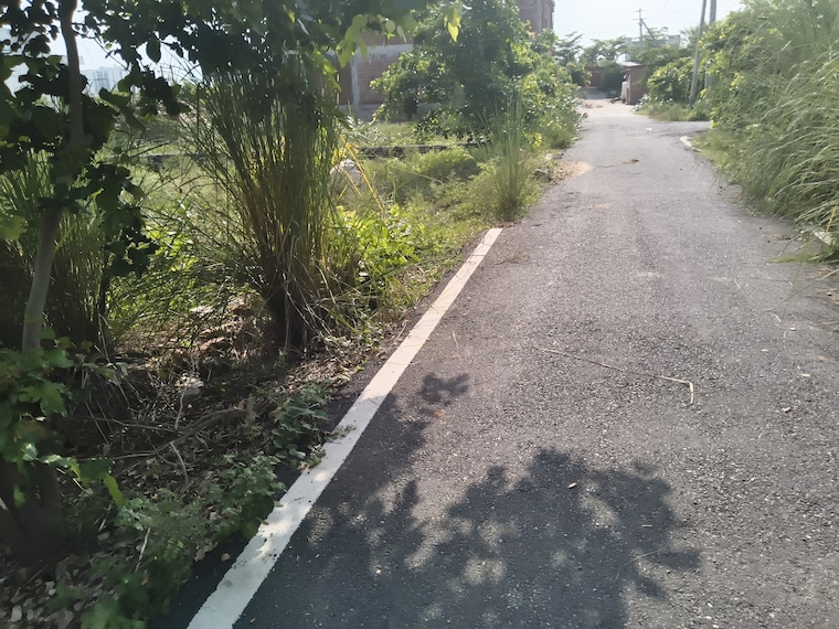 Exterior View, jagatpura  270 Sq.Yd. Plot In Jagatpura Jaipur 9107601