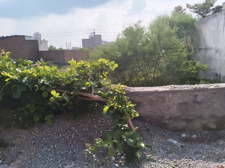 Garden, jagatpura  270 Sq.Yd. Plot In Jagatpura Jaipur 9107625