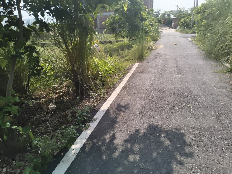 Exterior View, jagatpura  270 Sq.Yd. Plot In Jagatpura Jaipur 9107625