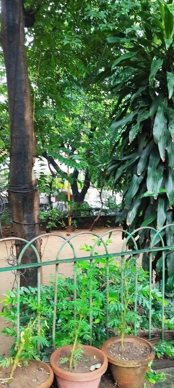 4 BHK Builder Floor – Garden View at Hauz Khas Enclave - for Rent