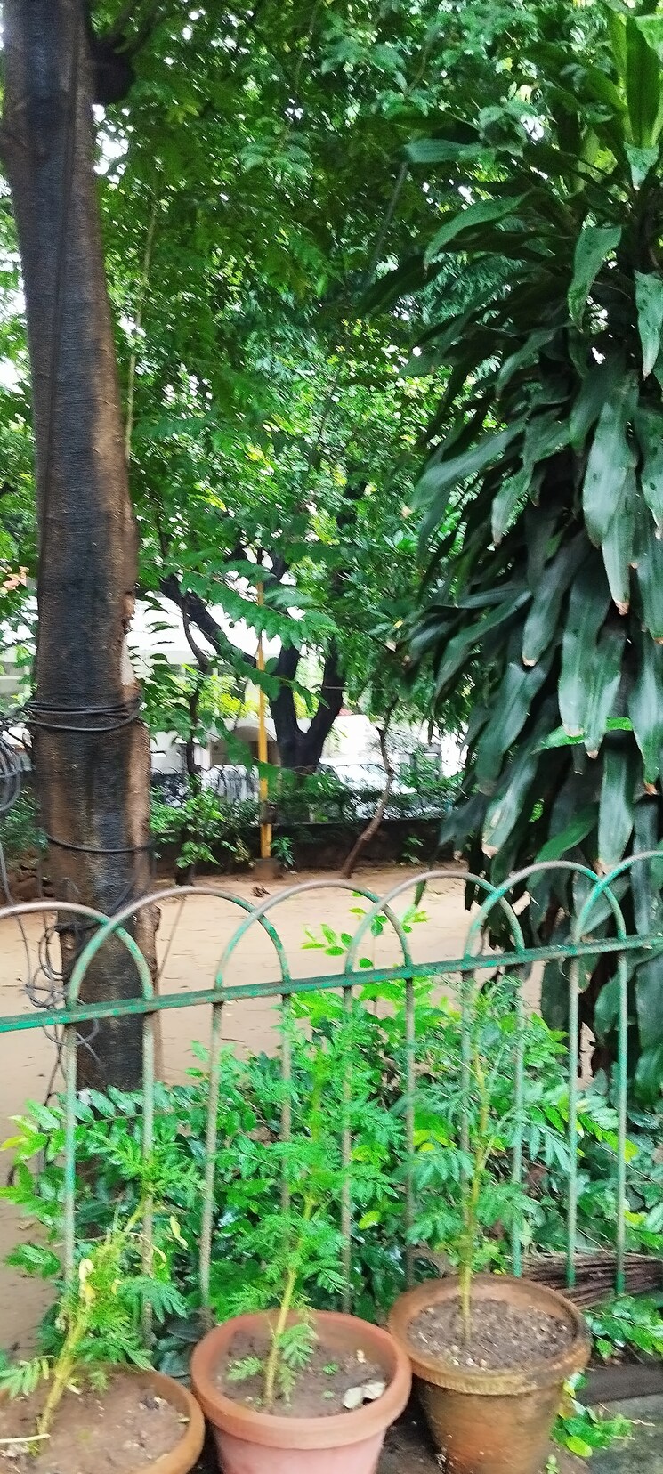 Garden, hauz khas enclave 4 Bedroom 5670 Sq.Ft. Builder Floor In Hauz Khas Enclave Delhi 9107643