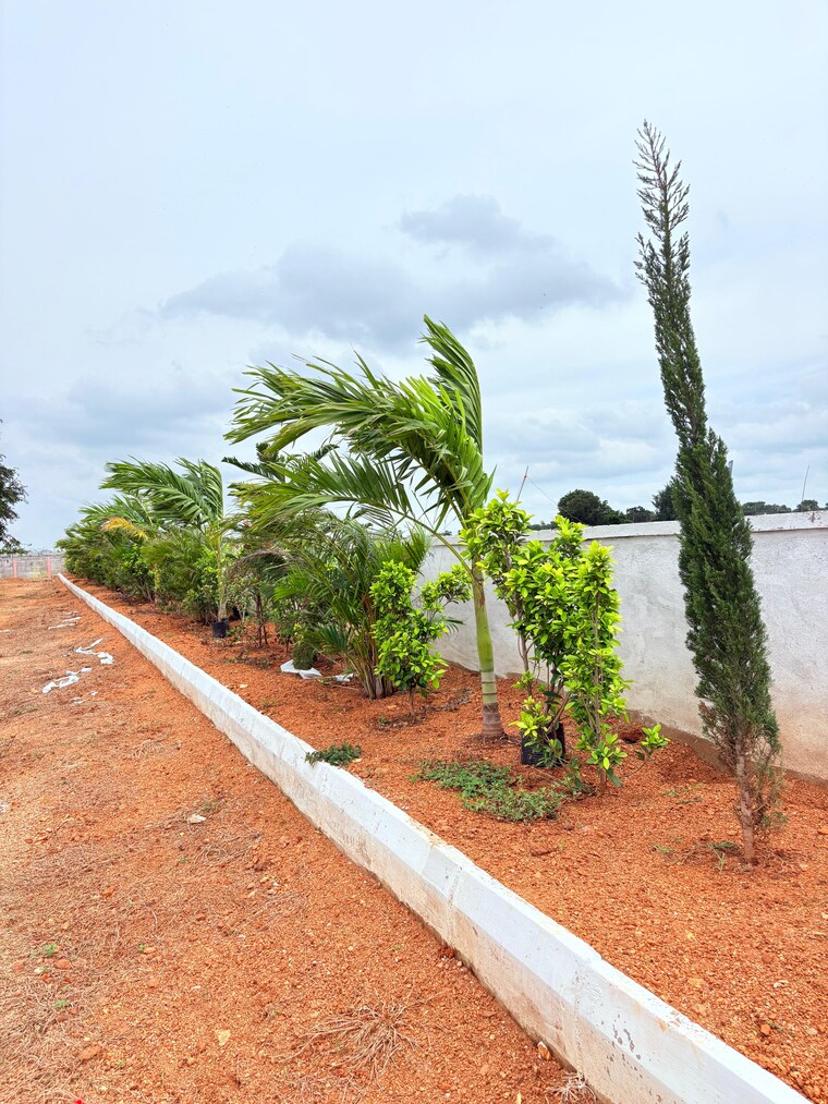 Garden, esr-south-central  212 Sq.Yd. Plot In Subhanpur Hyderabad 9107682
