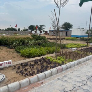 Plot Area in  Plot at Ranka Sachivalaya Enclave, Prithvisinghpura At Naiwala – for Sale