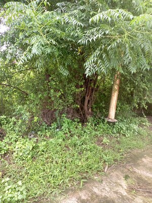  Plot – Exterior View View at Tusyana - for Sale