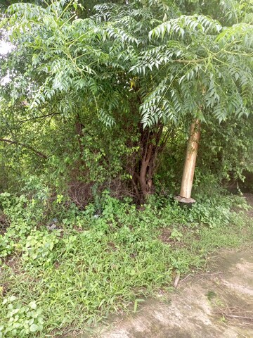   Plot at Tusyana – for Sale